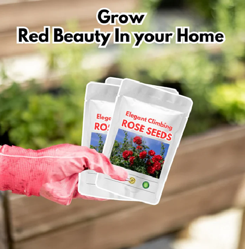 Elegant Climbing Rose Flower Seeds ⭐⭐⭐⭐⭐(4.9/5) (10000+ Verified Reviews)