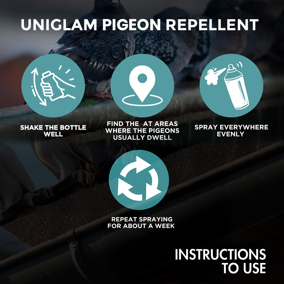 Pigeon Repellent Spray for Home & Office 200 ML (BUY 1 GET 1 Free)⭐⭐⭐⭐⭐(4.9/5) (10000+ Verified Reviews)