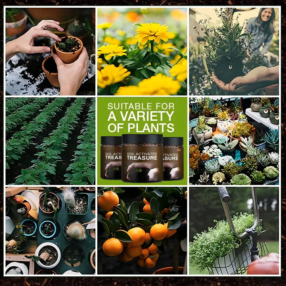 Premium Soil Activator and Organic Soil Buy 🔥1 Get 1 Free 🔥(⭐⭐⭐⭐⭐ (4.9/5) RATED BY 10,000+ CUSTOMERS)