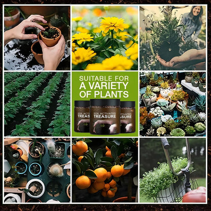 Premium Soil Activator and Organic Soil Buy 🔥1 Get 1 Free 🔥(⭐⭐⭐⭐⭐ (4.9/5) RATED BY 10,000+ CUSTOMERS)