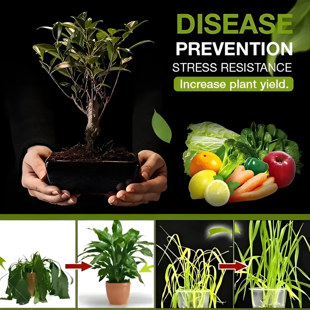 Premium Soil Activator and Organic Soil Buy 🔥1 Get 1 Free 🔥(⭐⭐⭐⭐⭐ (4.9/5) RATED BY 10,000+ CUSTOMERS)