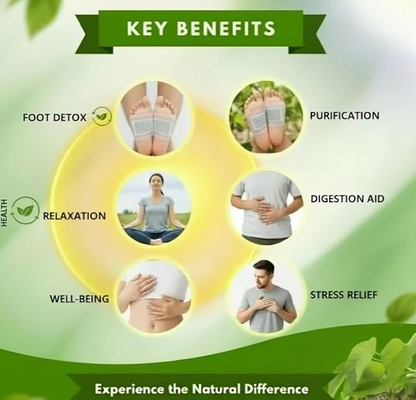 Herbal Giloy Patches 20pcs (Buy 🔥1 Get 1 Free🔥)⭐⭐⭐⭐⭐(4.9 Verified Reviews)