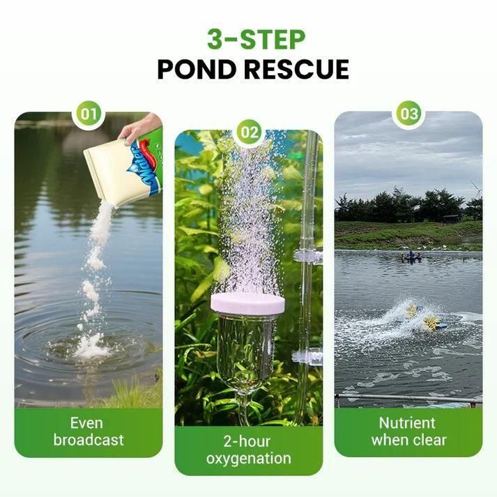 Water Conditioning Powder for Ponds 200 gm (⭐⭐⭐⭐⭐ (4.9/5) RATED BY 10,000+ CUSTOMERS)