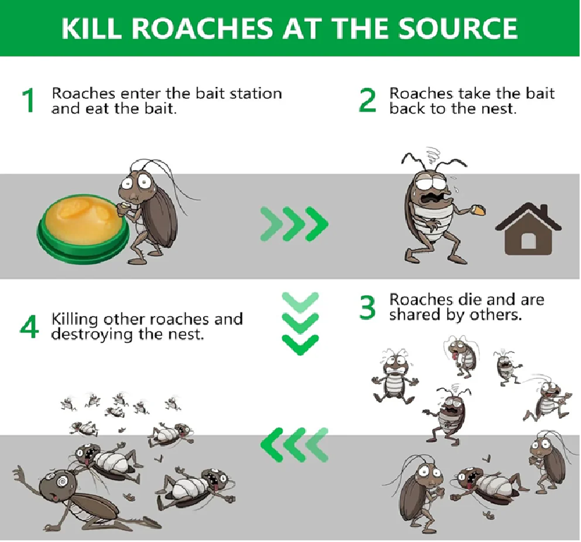 Cockroach Killer Powder Gel (Pack of 24pc) ⭐⭐⭐⭐⭐(4.9/5) (10000+ Verified Reviews)