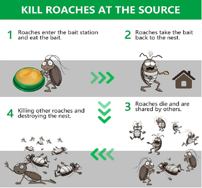 Cockroach Killer Powder Gel (Pack of 24pc) ⭐⭐⭐⭐⭐(4.9/5) (10000+ Verified Reviews)