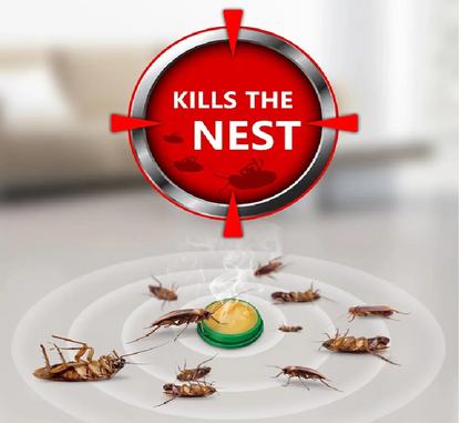 Cockroach Killer Powder Gel (Pack of 24pc) ⭐⭐⭐⭐⭐(4.9/5) (10000+ Verified Reviews)